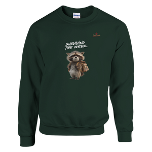 2738a666-e8e7-4979-a7d1-c3b320815305