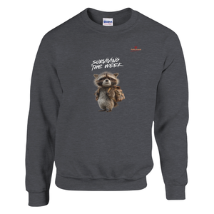 ccc25605-c13a-4d04-a2e1-bb38884bce7a