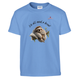 52d11c07-a8e2-4e26-bd06-768ed62a57f9