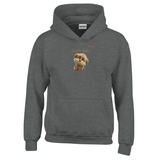 d9eb0305-a41d-4ea9-a91f-49244180d427