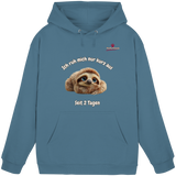 Ich ruh mich nur kurz aus – Faultier - Basic Unisex Hoodie