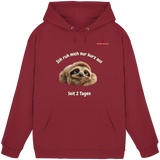 Ich ruh mich nur kurz aus – Faultier - Basic Unisex Hoodie