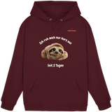 Ich ruh mich nur kurz aus – Faultier - Basic Unisex Hoodie