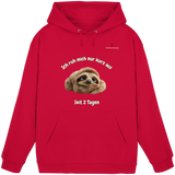 Ich ruh mich nur kurz aus – Faultier - Basic Unisex Hoodie