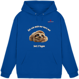 Ich ruh mich nur kurz aus – Faultier - Basic Unisex Hoodie